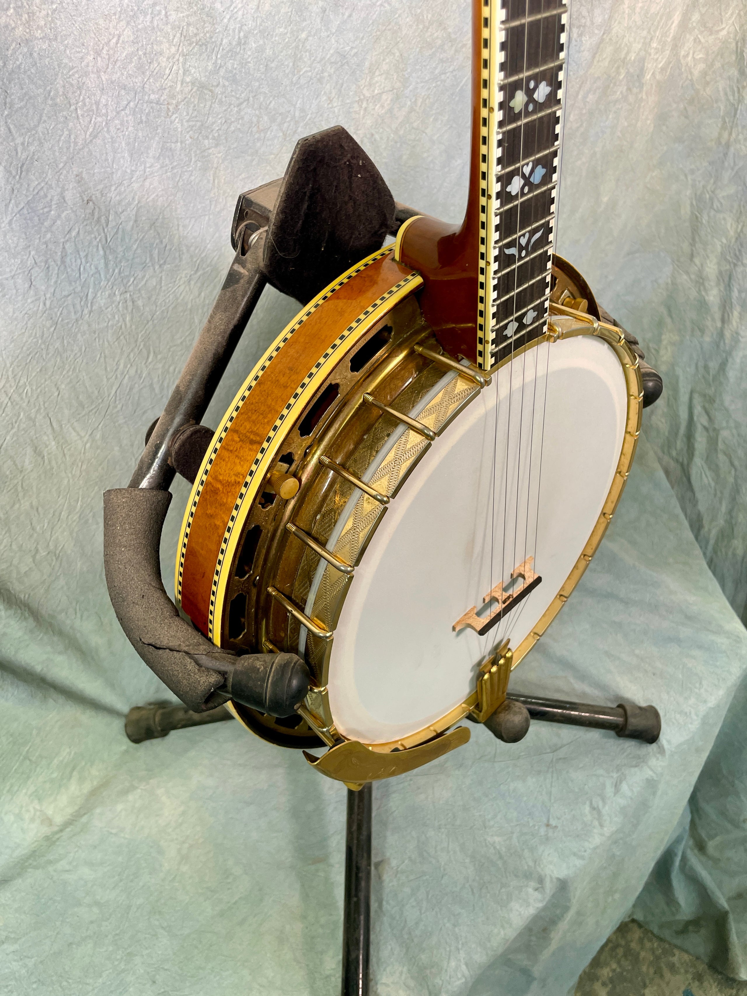 Pre war gibson banjo top